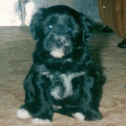barby6.gif(25 kb)